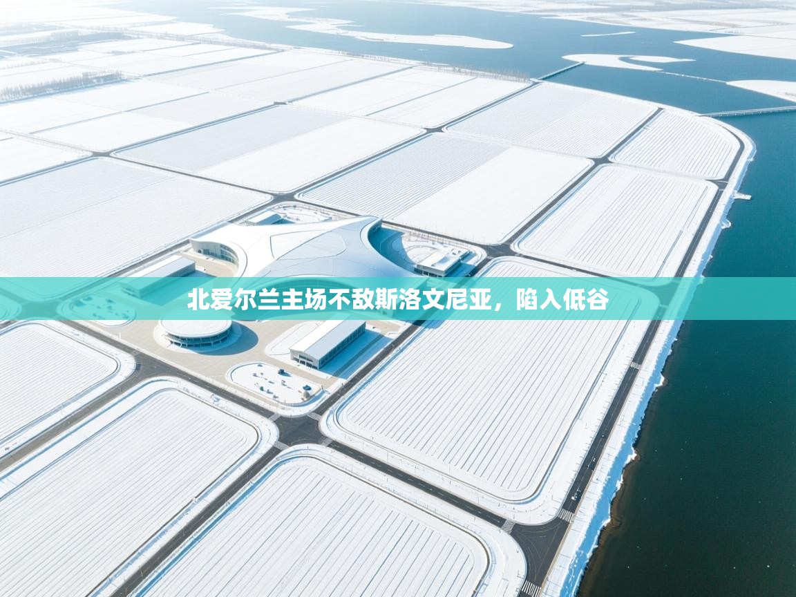 北爱尔兰主场不敌斯洛文尼亚，陷入低谷  第1张