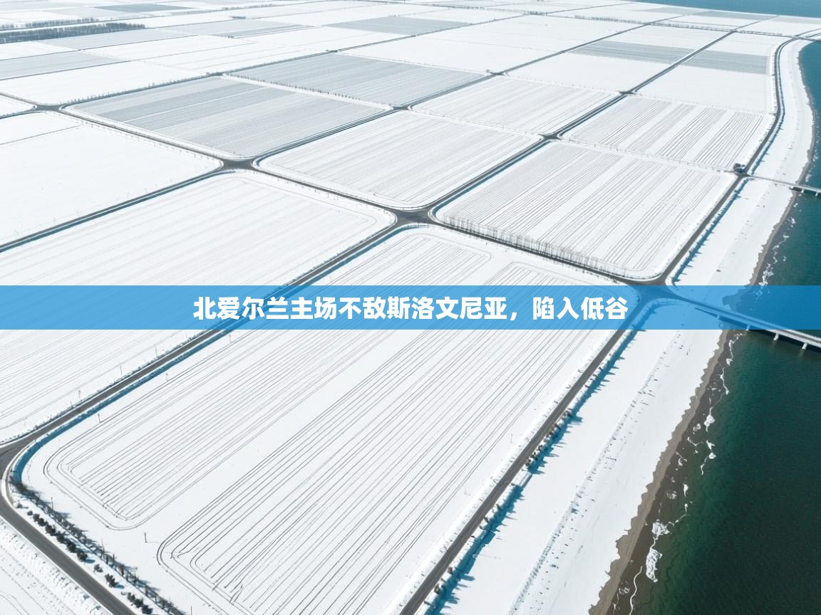 北爱尔兰主场不敌斯洛文尼亚，陷入低谷  第2张